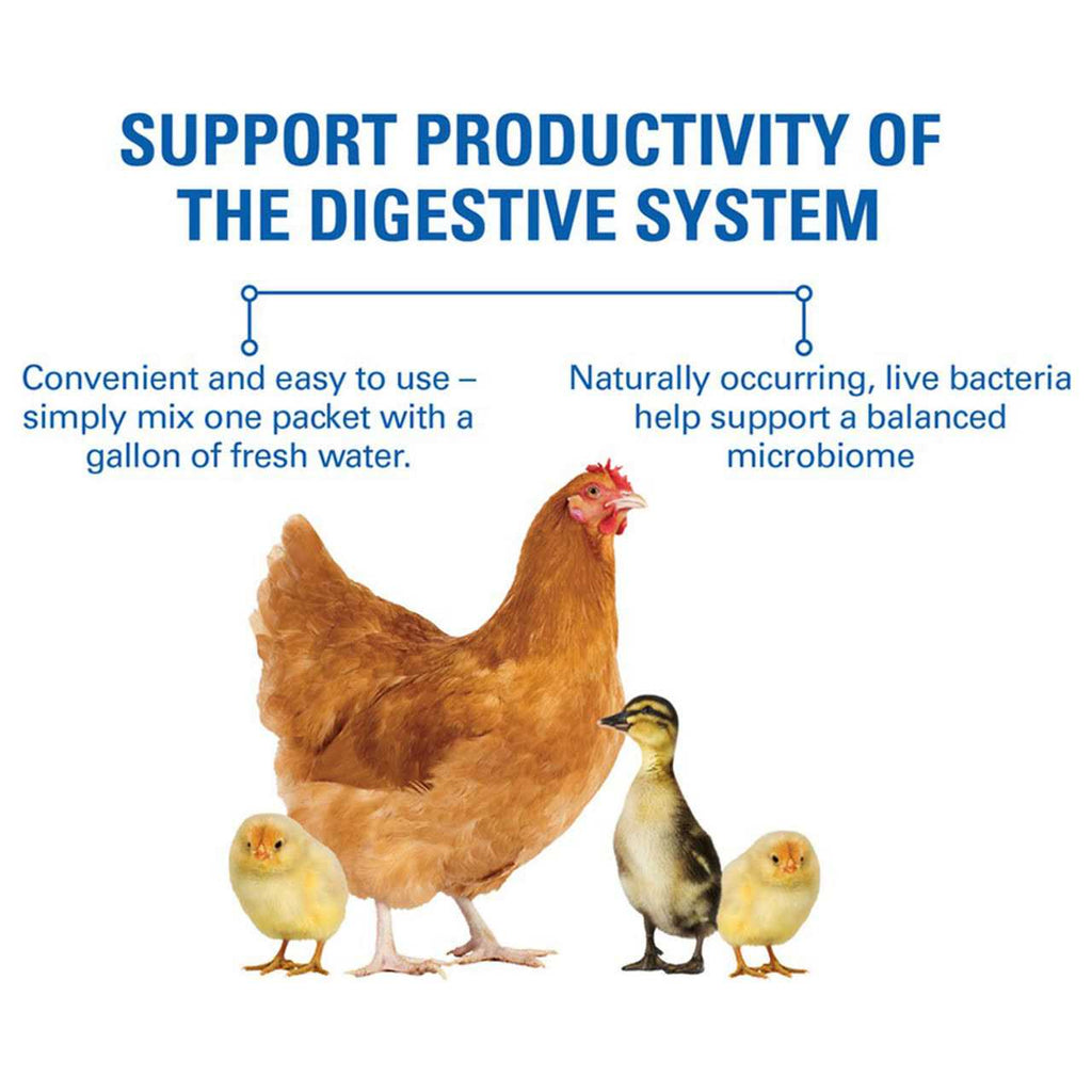Probiotic Supplement U776