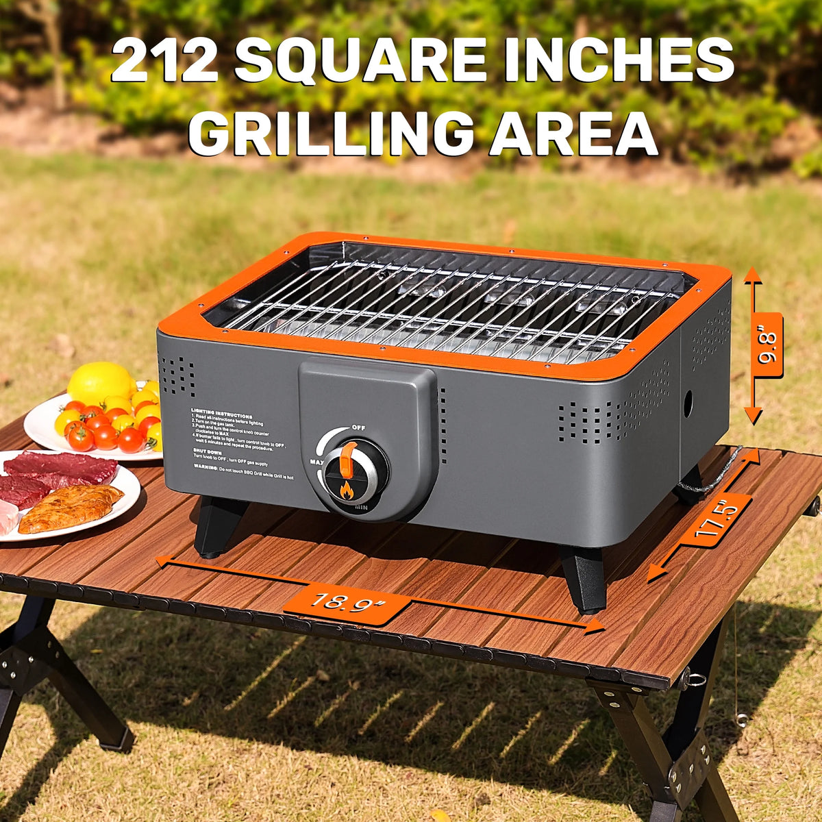 Portable Propane Grill with Gas Regulator & Adaptor C655