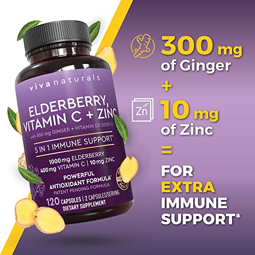 60 Count Black Dried Elderberry Capsules P693974