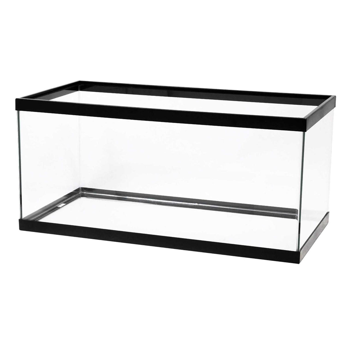 Black Aquarium G309