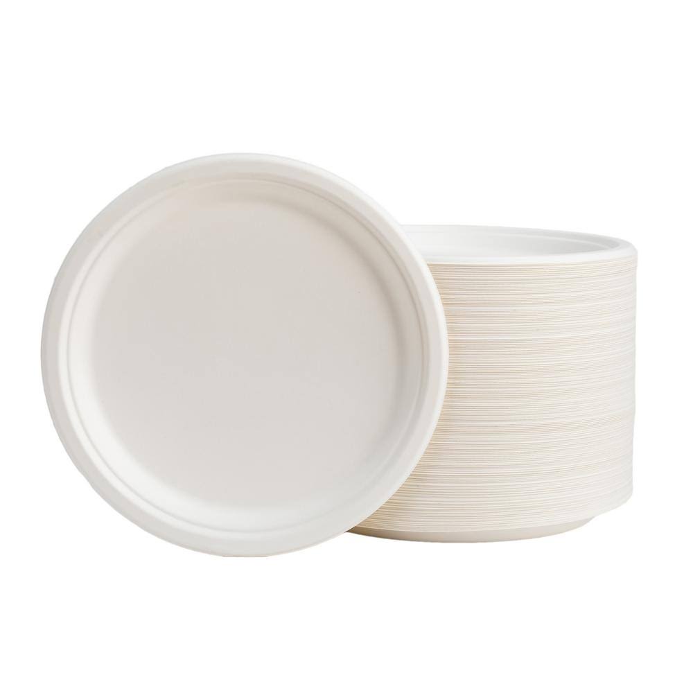 10 inch White Compostable Disposable Sugarcane Plates, 300 Pack B670
