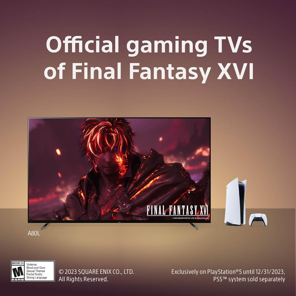 65 inch OLED 4K Ultra HD TV O86146