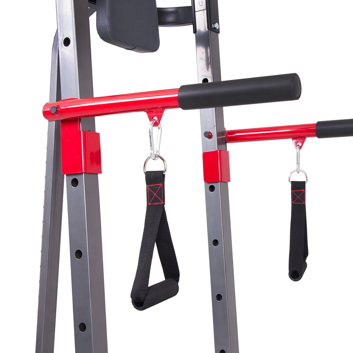 5-in-1 Power Tower and Dip Station Z107007