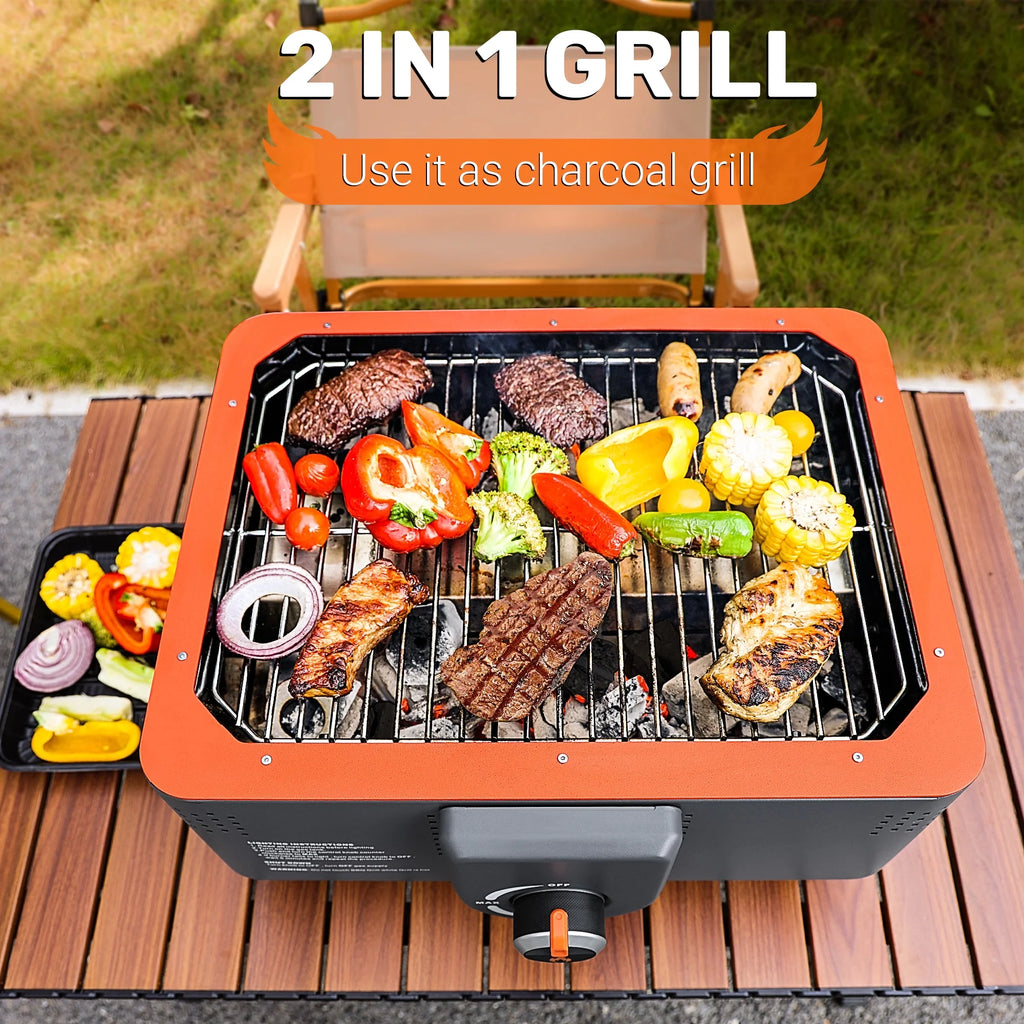 Portable Propane Grill with Gas Regulator & Adaptor C655