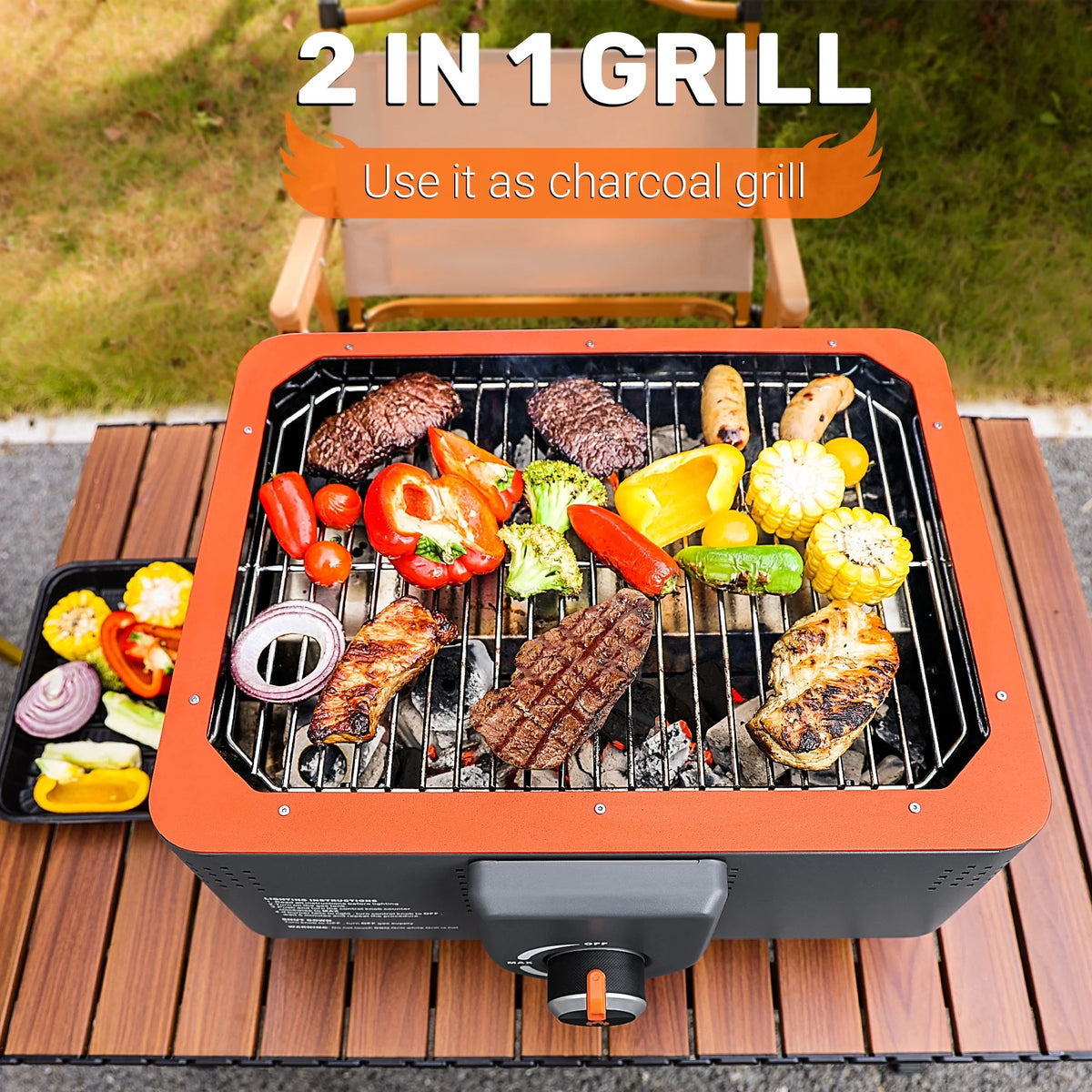 Portable Propane Grill with Gas Regulator & Adaptor C655