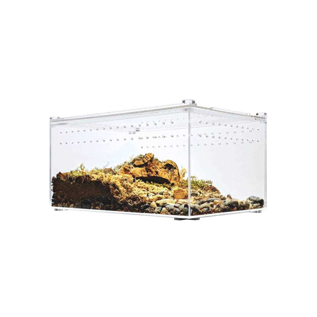 Acrylic Insect & Reptile Terrarium Z5681