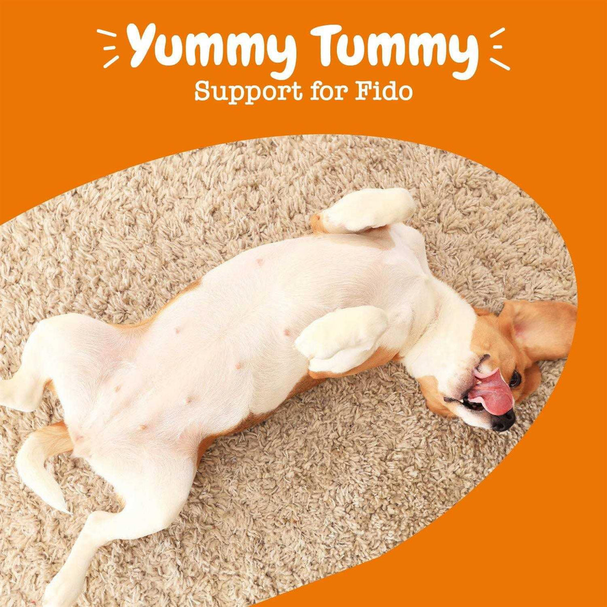Probiotic Gut Health Food Topper for Dogs C26527