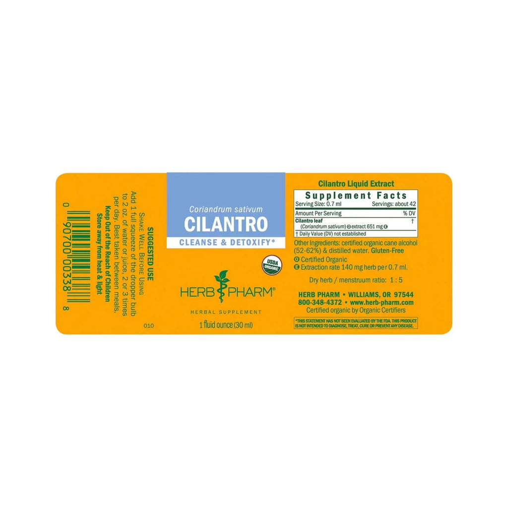 Cilantro E848444