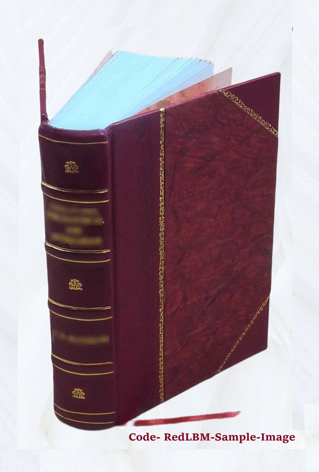 Commentarii de bello gallico et civili I3209