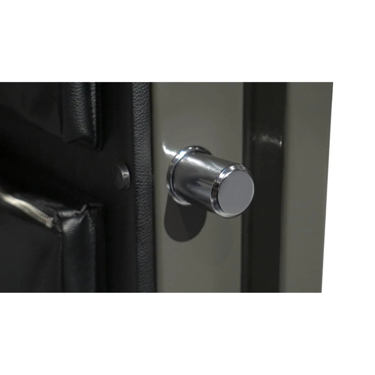 SA-H4 Sanctuary Platinum Series Home u0026 Office Safe P76625