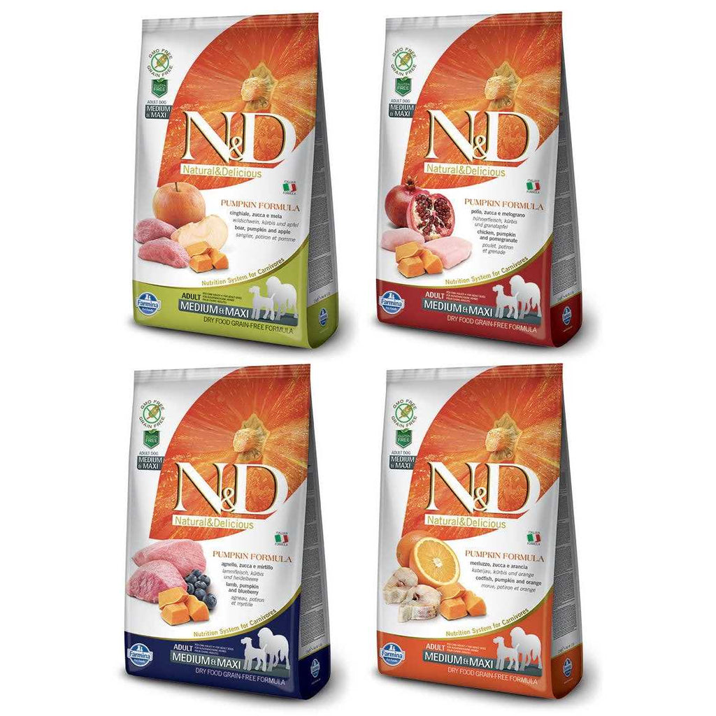 Lamb & Blueberry Grain Free Dry Dog Food C3256