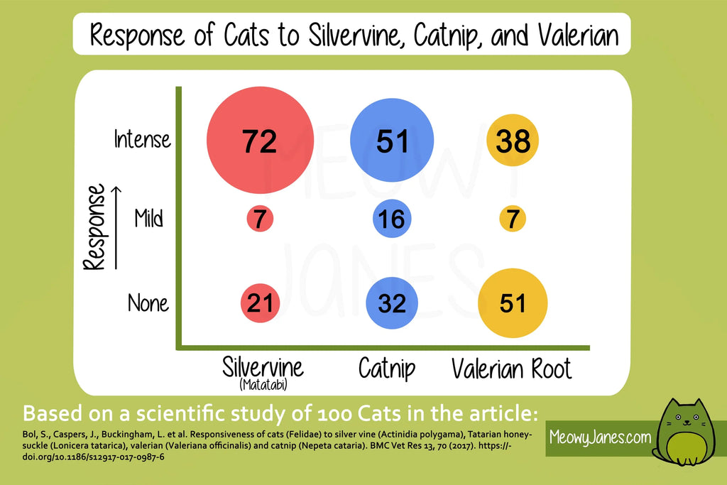 Matatabi Chew Sticks Cat Toy and Cat Treat O246127