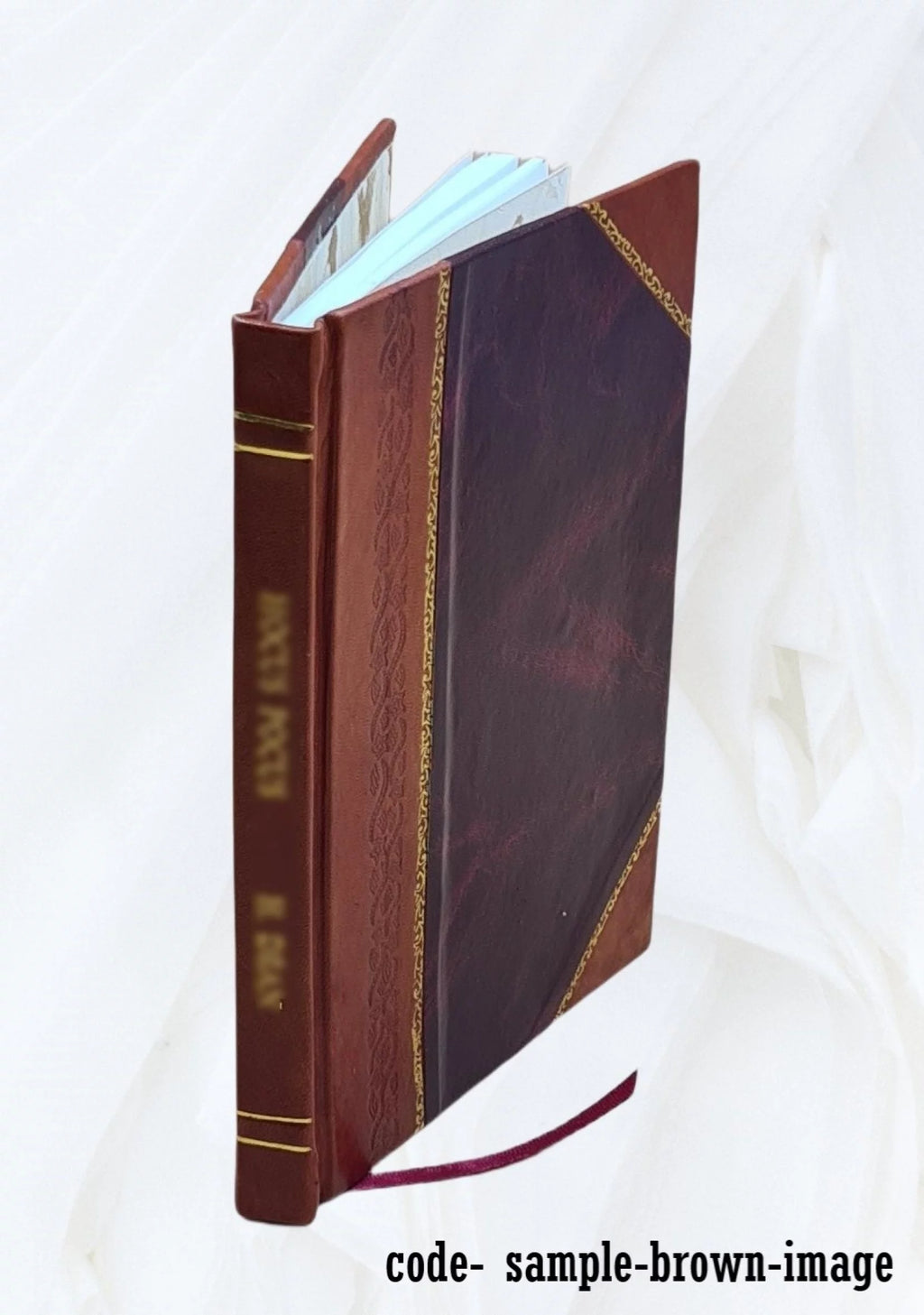 19th Century Ireland History Leather Bound W264
