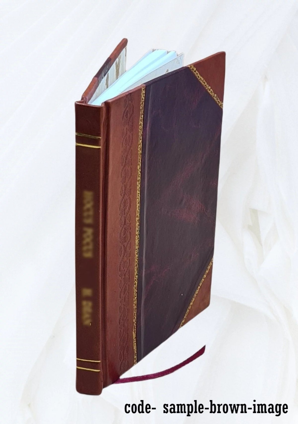 19th Century Ireland History Leather Bound W264
