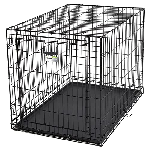 42-Inch Single Door Dog Crate C622
