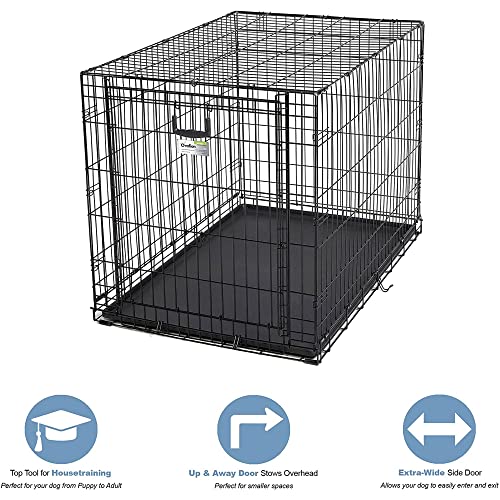 42-Inch Single Door Dog Crate C622