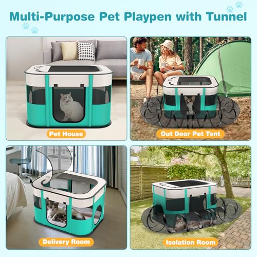 Outdoor Cat Enclosure with Tunnel I277