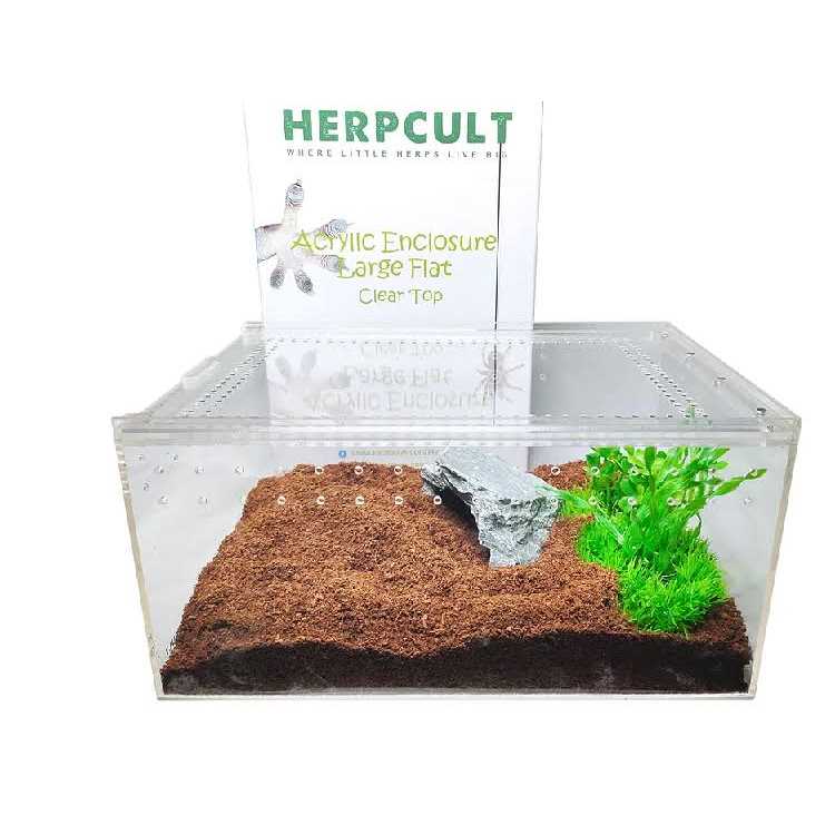 Acrylic Insect & Reptile Terrarium Z5681