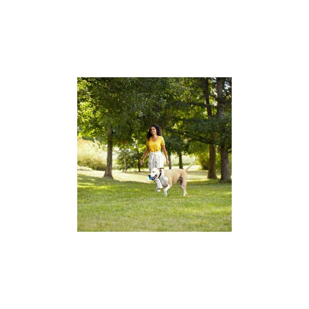 Natural Dry Dog Food with Beef G284