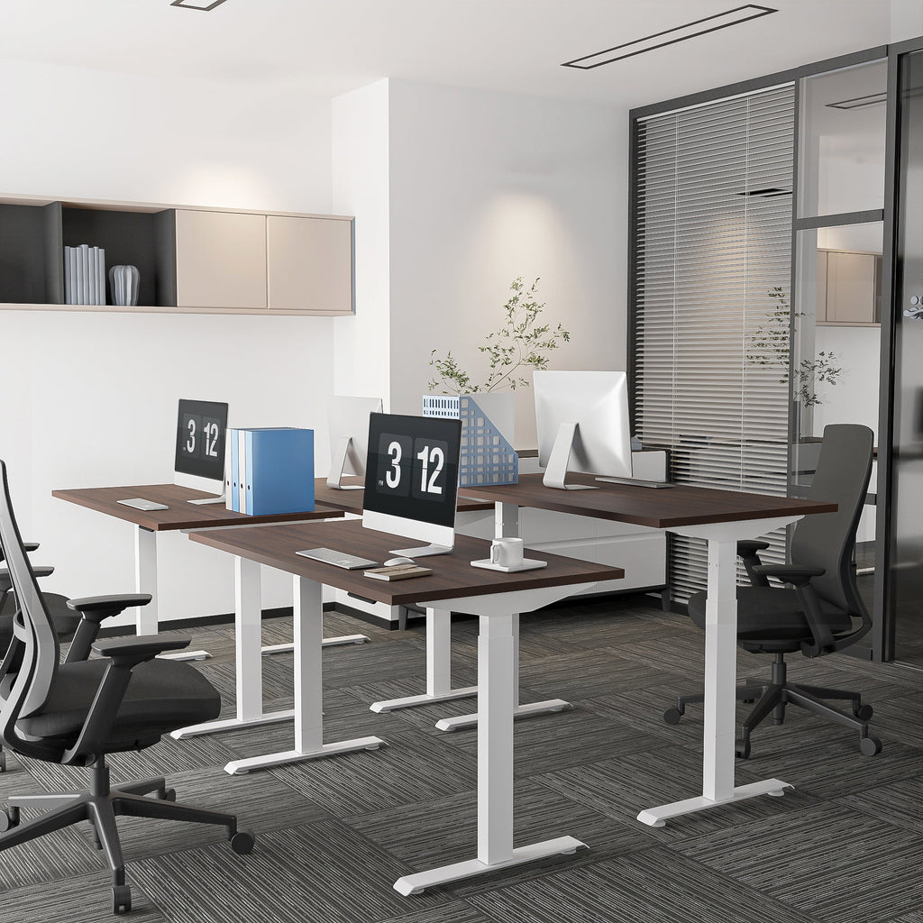 55'' x 28'' Dual Motor Electric Adjustable Height Desk B86365