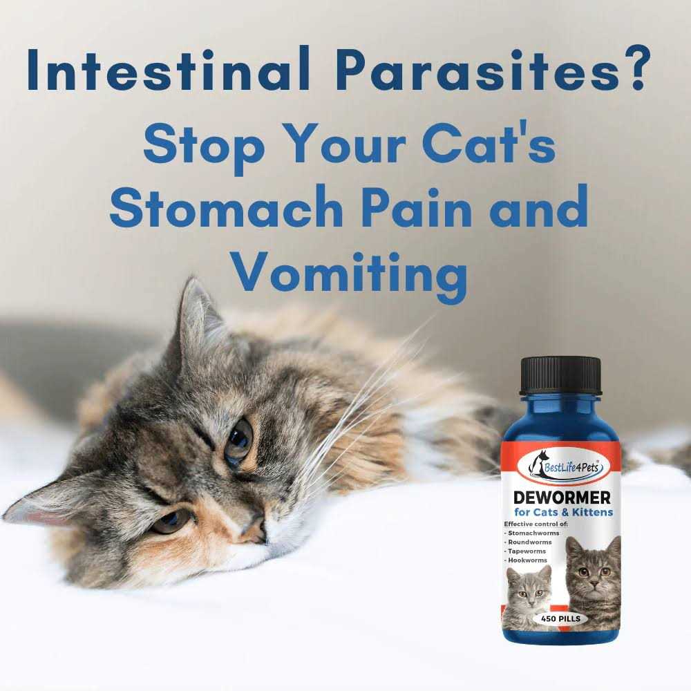 Broad Spectrum Dewormer for Cats and Kittens L493