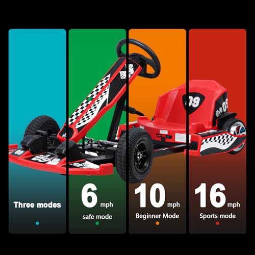 Electric Go Kart for Kids, 36V 350W Motor 16 MPH 4 Wheel Ride on Toy C8481