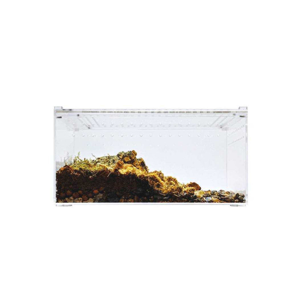 Acrylic Insect & Reptile Terrarium Z5681