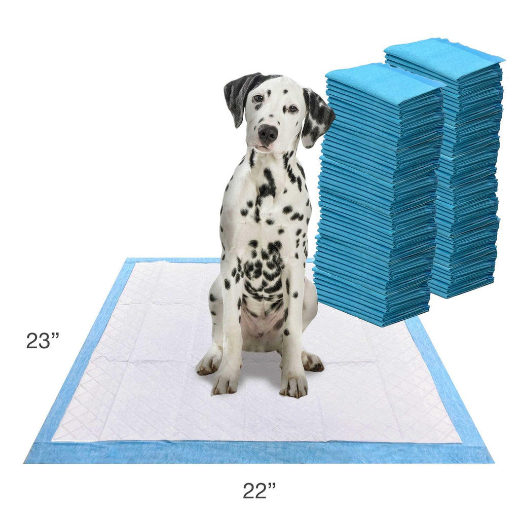 Scented Puppy Pads B692729