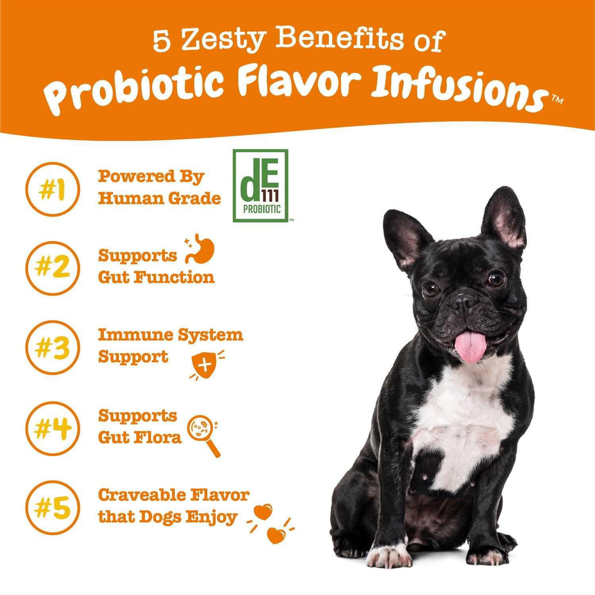 Probiotic Gut Health Food Topper for Dogs C26527