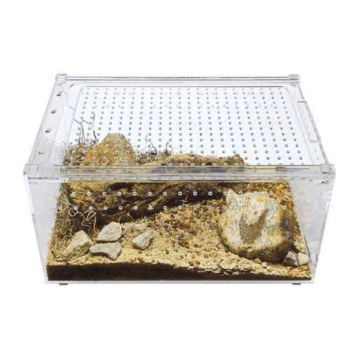 Acrylic Insect & Reptile Terrarium Z5681