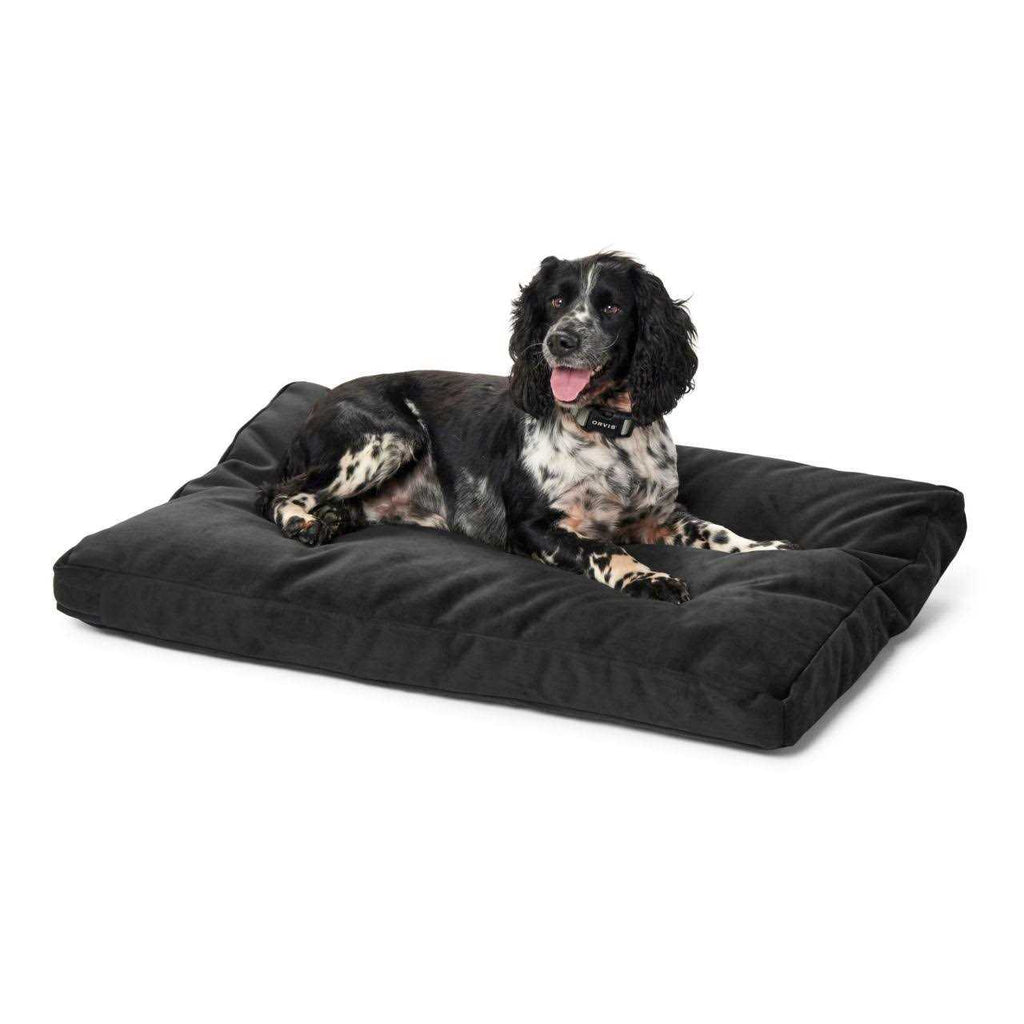 Platform Dog Bed P178872