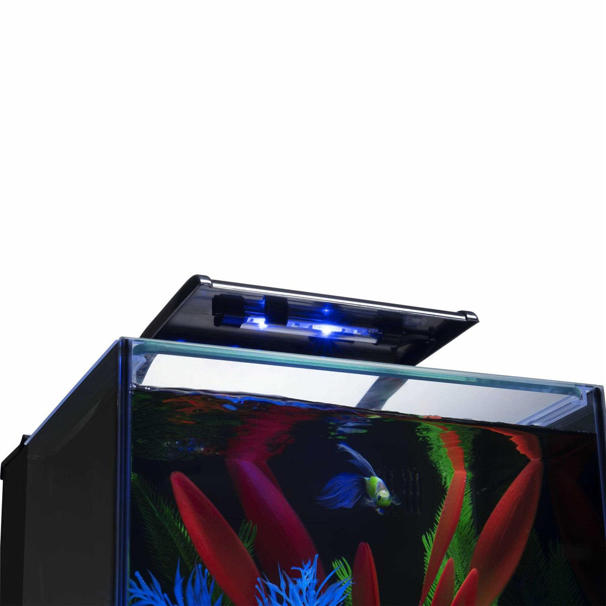 3 Gallon Aquarium Kit with LED Lighting and Filter M193106