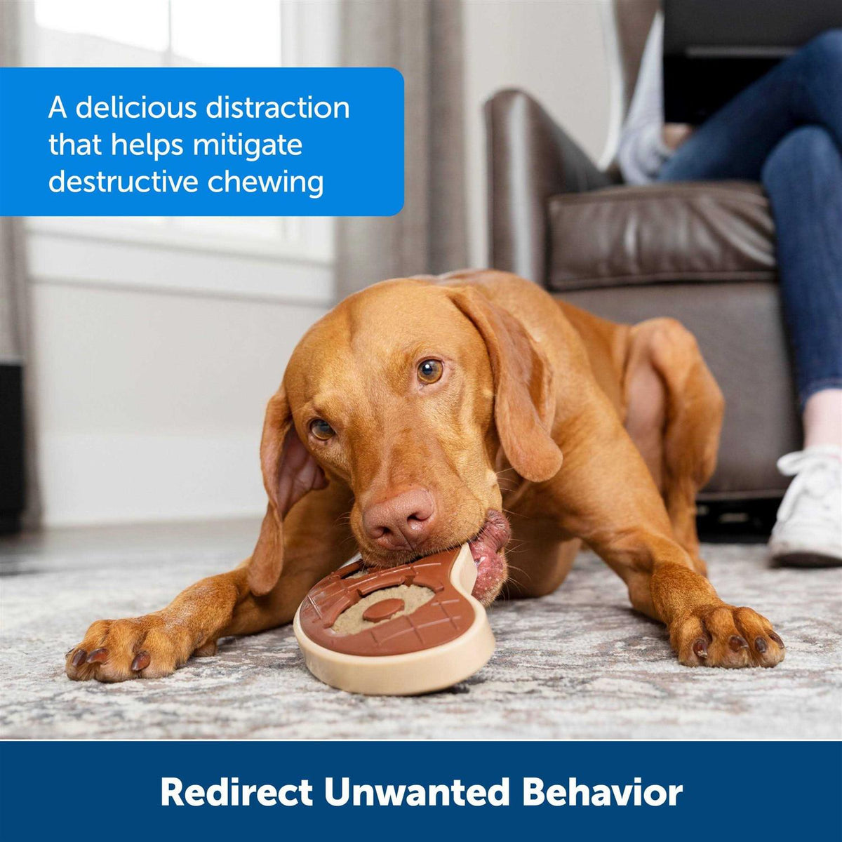 Rawhide Treat Rings Y70672