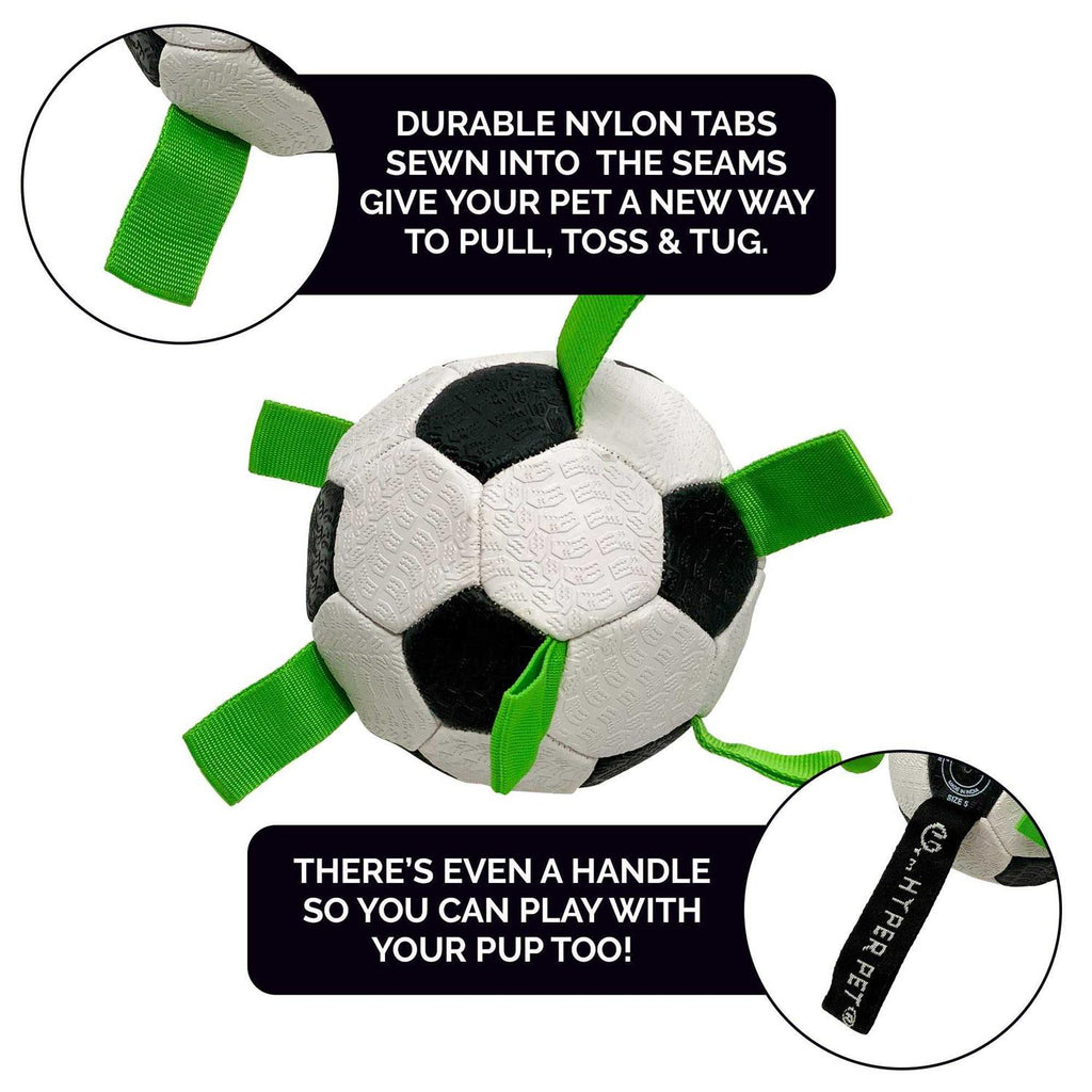 Soccer Ball Dog Toy N2329