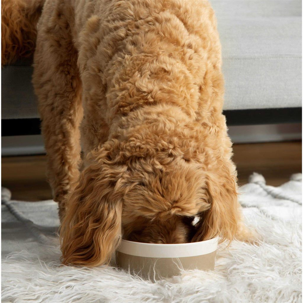 Ceramic Dog Bowl S7656