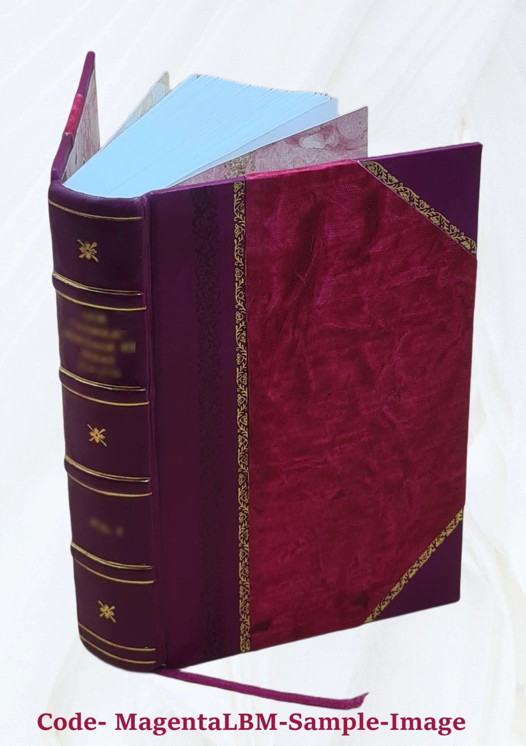 Commentarii de bello gallico et civili I3209