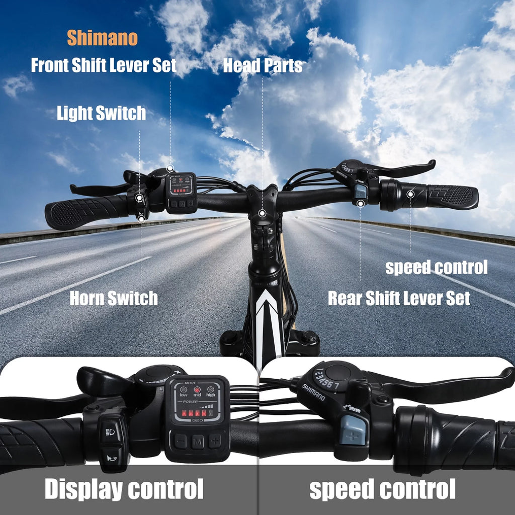 350W 21-Speed Electric Mountain Bike Y572099