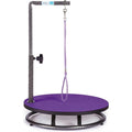 Small Pet Grooming Table V453