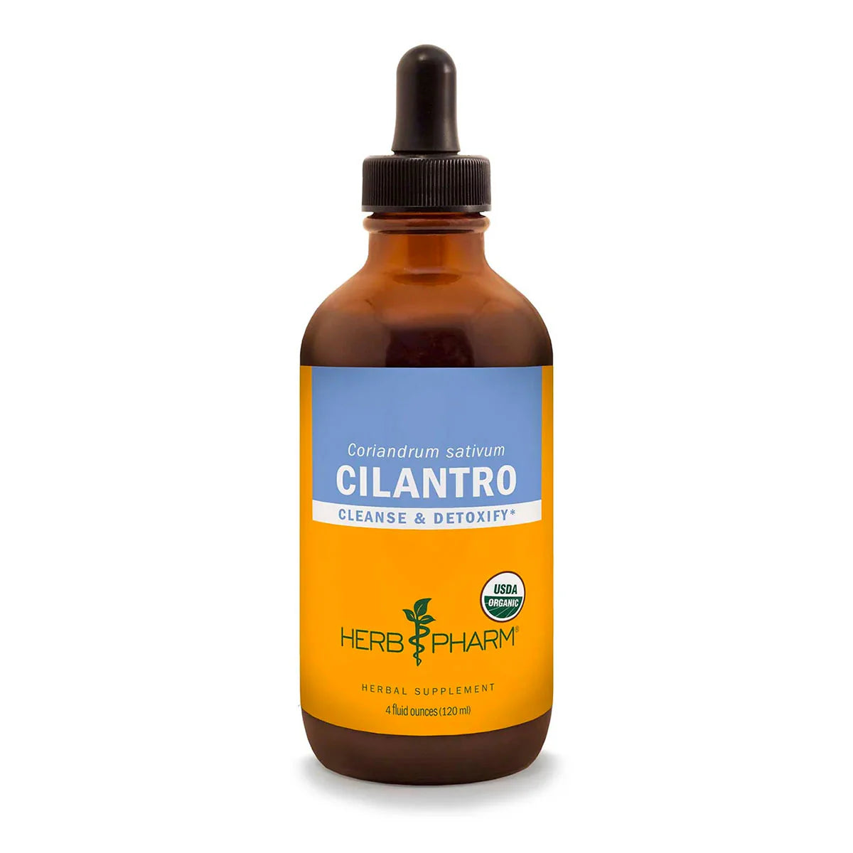 Cilantro E848444