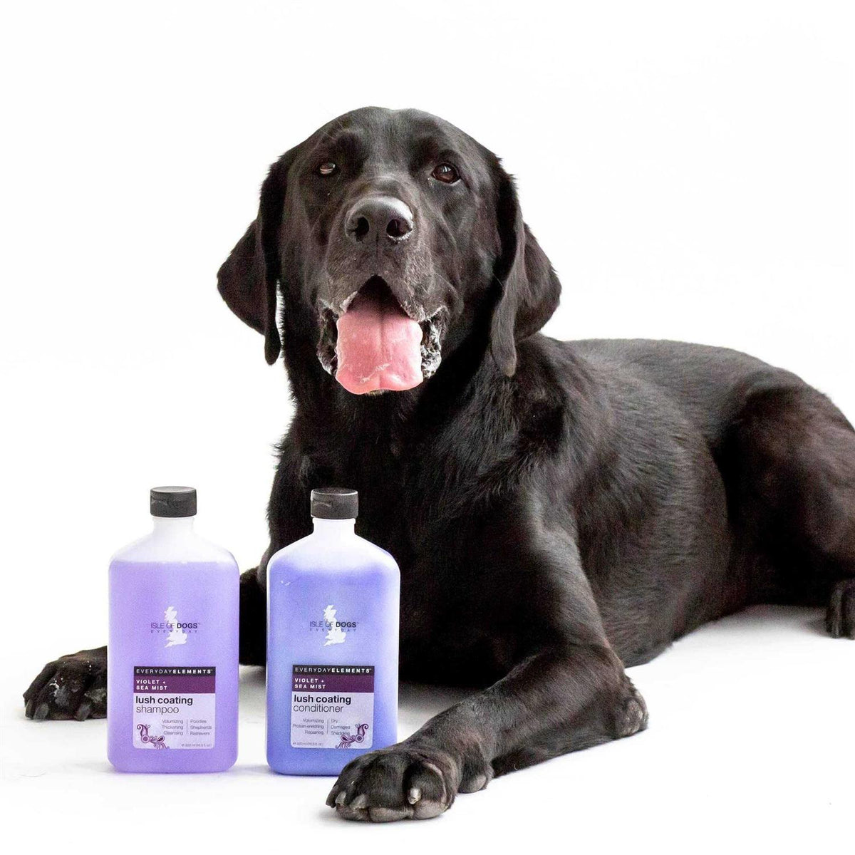 Violet & Sea Mist Dog Shampoo W6371