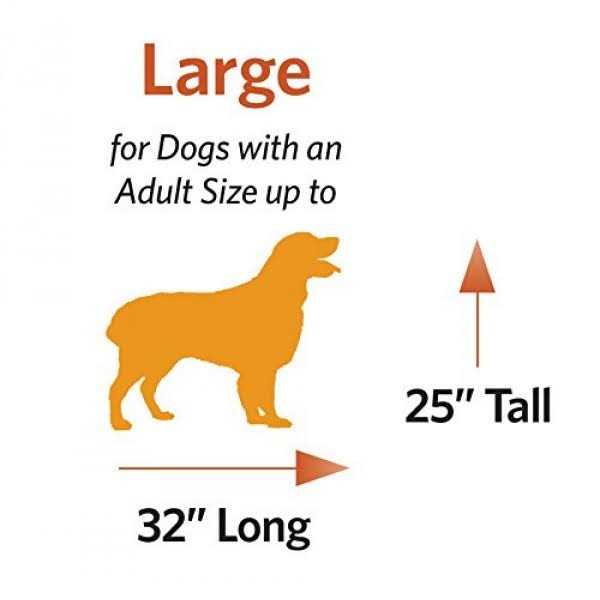 Double Door Dog Crate Q3817