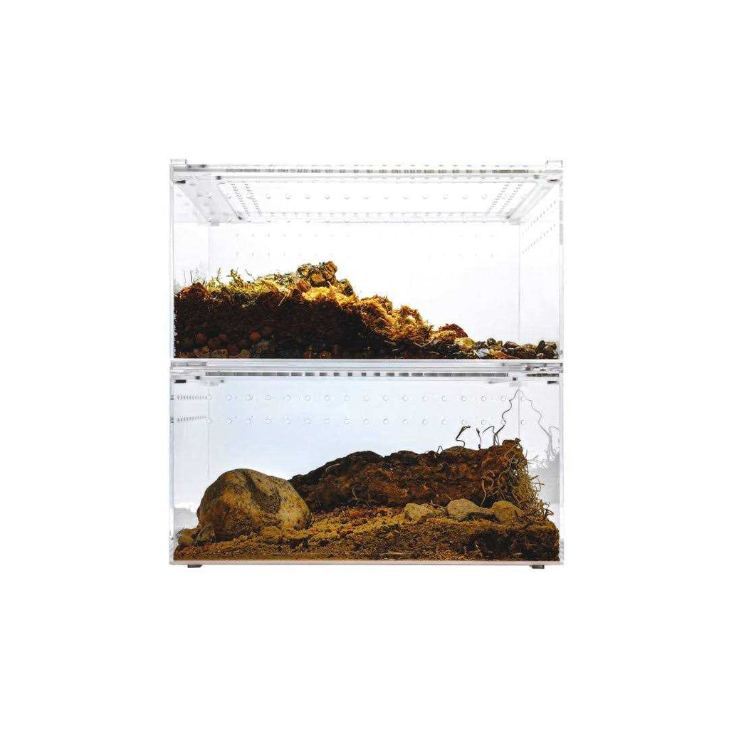 Acrylic Insect & Reptile Terrarium Z5681
