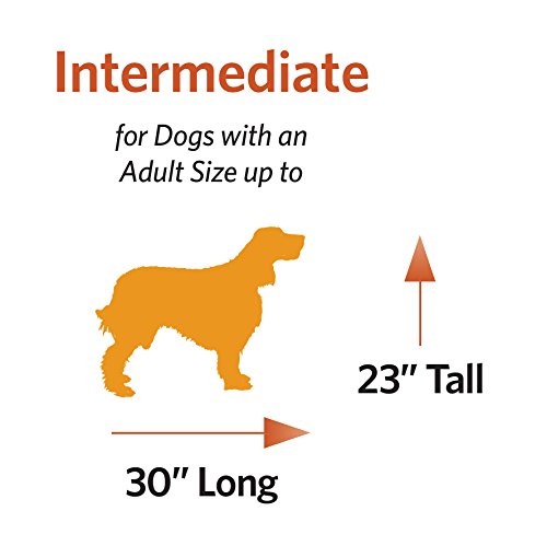 42-Inch Single Door Dog Crate C622